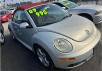 2009 Volkswagen New Beetle Blush Edition PZEV