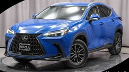 2022 Lexus NX 250 Base