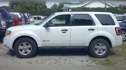 2011 Ford Escape Hybrid 4WD