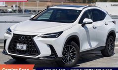2024 Lexus NX 350h Premium