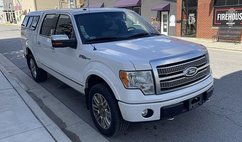 2010 Ford F-150 Platinum