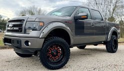 2013 Ford F-150 FX4