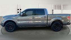 2014 Ford F-150 Platinum