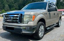 2010 Ford F-150 FX2