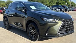 2024 Lexus NX 350h Premium