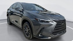 2025 Lexus NX 250 Premium
