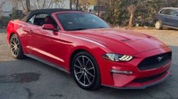 2019 Ford Mustang Premium