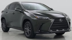 2024 Lexus NX 250 Base