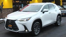 2023 Lexus NX 250 Base