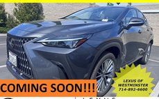 2025 Lexus NX 350h Premium