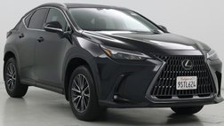 2025 Lexus NX 250 Premium