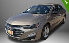 2023 Chevrolet Malibu LS Fleet