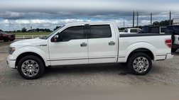 2013 Ford F-150 Platinum
