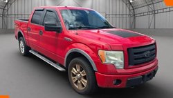 2009 Ford F-150 FX4