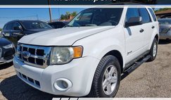 2009 Ford Escape Hybrid Base