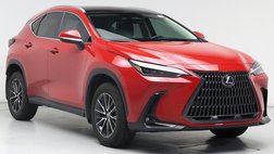 2024 Lexus NX 350 Luxury
