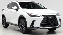 2025 Lexus NX 250 Premium