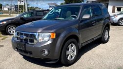 2010 Ford Escape XLT