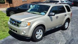2011 Ford Escape XLT