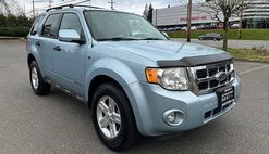 2008 Ford Escape Hybrid Base