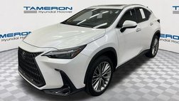 2025 Lexus NX 350h Premium