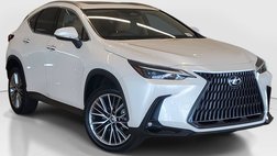 2023 Lexus NX 350h Premium