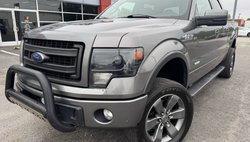2013 Ford F-150 FX4