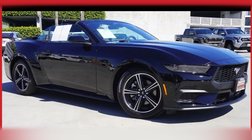 2025 Ford Mustang Base