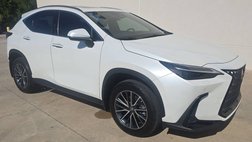 2024 Lexus NX 350h Luxury