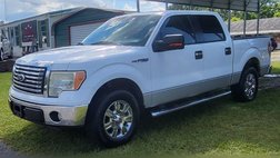 2010 Ford F-150 XLT