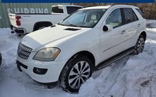 2007 Mercedes-Benz M-Class ML 500
