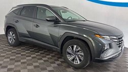 2024 Hyundai Tucson Hybrid Blue