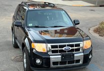 2011 Ford Escape Limited