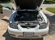 2001 Ford Mustang SVT Cobra Base