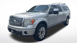 2010 Ford F-150 Platinum