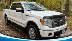 2010 Ford F-150 Platinum