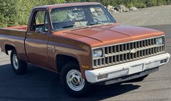 1981 Chevrolet C/K 10 Series C10
