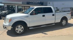 2010 Ford F-150 XLT