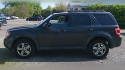 2009 Ford Escape XLT