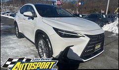2023 Lexus NX 350 Luxury