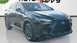 2025 Lexus NX 250 Premium