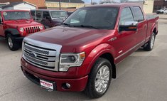 2013 Ford F-150 Platinum