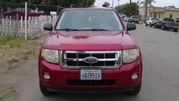 2008 Ford Escape XLT