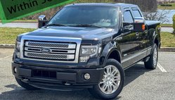 2013 Ford F-150 Platinum