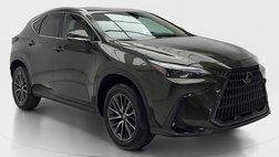 2025 Lexus NX 250 Premium