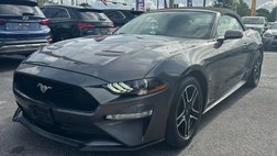 2019 Ford Mustang Premium