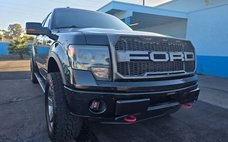 2013 Ford F-150 FX4