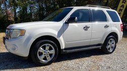 2010 Ford Escape XLT