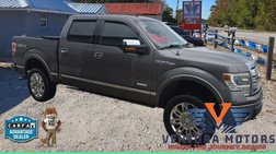 2013 Ford F-150 Platinum