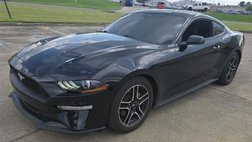 2023 Ford Mustang EcoBoost
